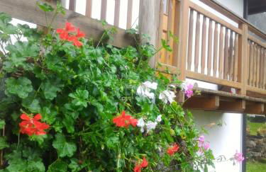 Casa Lausen - Foto 25