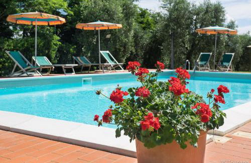 Agriturismo Terre di Toscana - Foto 26