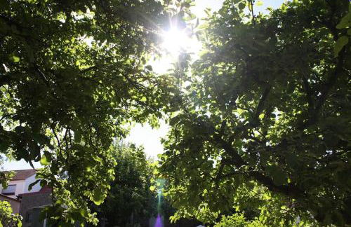 Ferienwohnung mit großem Garten und Blick zum See - Photo 4