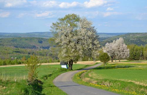Na końcu świata - Foto 56