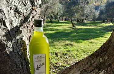 Agriturismo Podere Tegline - Foto 43