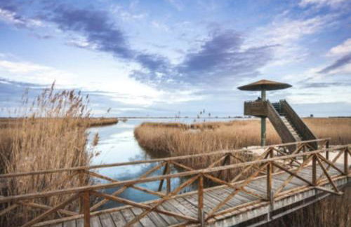 Casa Arturet - Photo 19