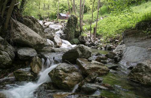 Els Pins d'Abella - Foto 59