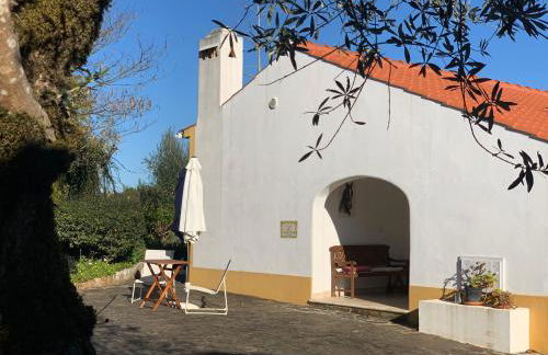 Quinta dos Girassóis FZ - Foto 50