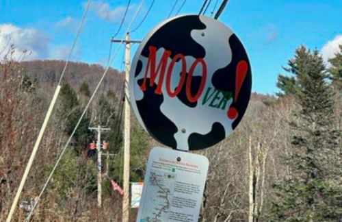 Modern Mountain Homestead - Foto 38