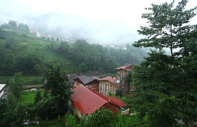 Yeşil Doğa Bungalov - Foto 28