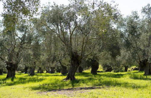 Tzànnou farm residence - Foto 68