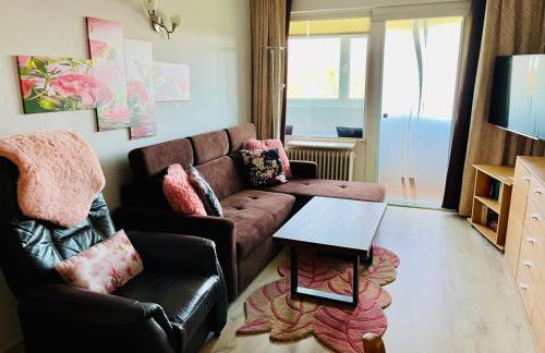 Ferienwohnung 258 Haus Schleswig - Foto 1