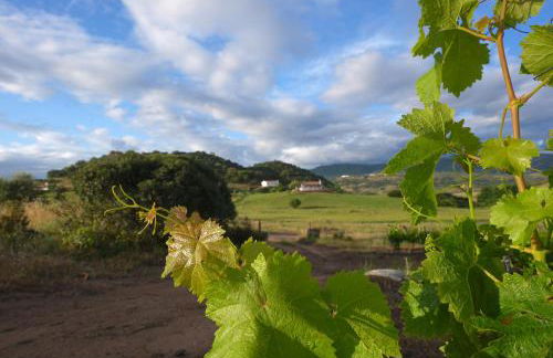 Auberge Santu Martine: Cottage with Pool (Manca) - Foto 39