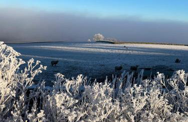 Cuddles & Bubbles Cozy Cabin with jacuzzi spa hot tub - Foto 35