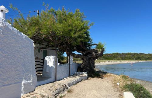 Una casa sulla spiaggia - Photo 1