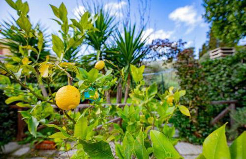 Affitti Brevi Toscana - Ospitalità a Porto Ercole - Foto 13