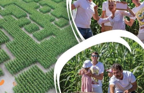 Le Vaugerin - Foto 51