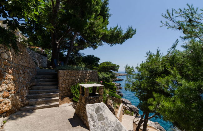 Plavac Mali - Foto 14