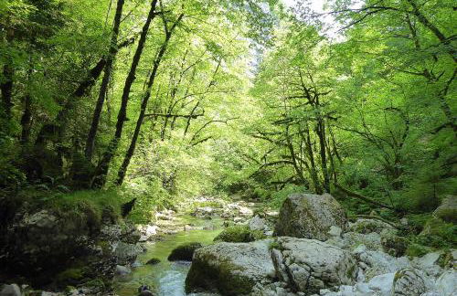 Baita La Ciamorza Dolomiti - Veneto - Foto 8