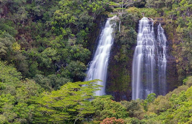 Kauai Day Trip - Photo 4