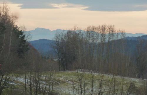 Apartment Wildfeuer by Interhome - Foto 33