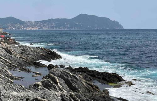 Gioiellino a Genova Nervi vista mare - Foto 26