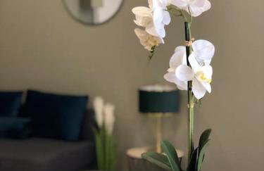 LÉchappée Belle Métro 9 WiFi-Clim-NETFLIX - Foto 6