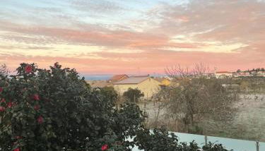 Casa Videira - Foto 2, Garden