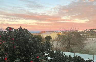 Casa Videira - Foto 2