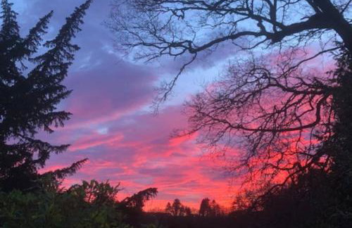 Unique Orchard Lodge for couples with hot tub - Photo 27