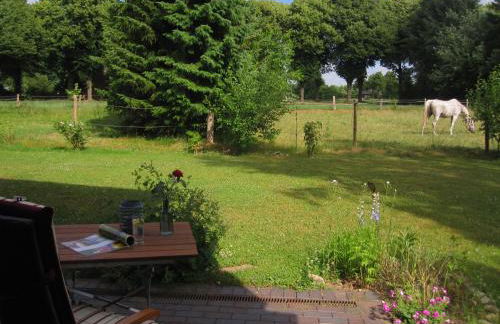 Pottkiekerhus - Foto 103