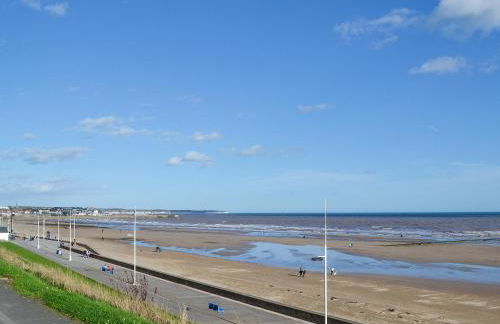 Alfie - Uk48109 - Foto 12