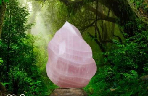 Maison familiale : charme & nature - Foto 43