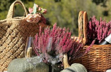 Cascina Burroni - Foto 11