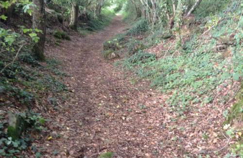 GITE CHOUCHOU - Photo 14