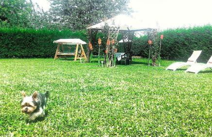 Appartamenti DOLOMITI - Foto 44