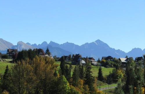 Apartament Góralski Duet 8-osobowy - dwupoziomowy apartament na wyłączność - Foto 46