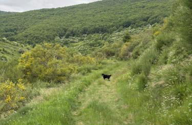 Casa Dulcinea en Brañosera - Foto 39