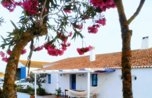 Monte Costa Raiz - Foto 25