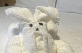 BORA BORA RESIDENCE II Geminados 600 METROS DA EXPOVILLE - Photo 15