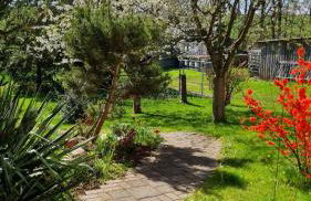 Spatzenvilla - Foto 8