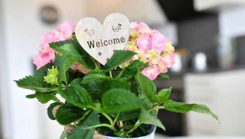 Dinkelbach Traumblick 3 B - Foto 3