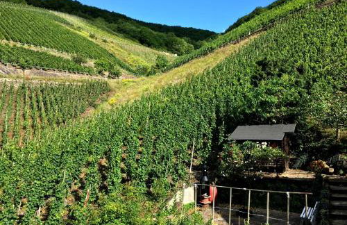 Ferienwohnungen Merl - Foto 75