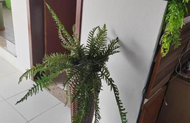 Villa Bonita praia - Photo 32