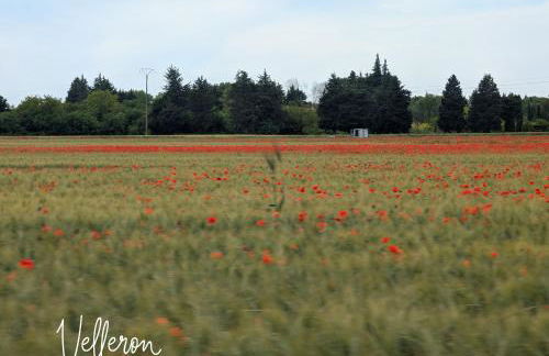 LE CHESTER - Maison de charme en Provence avec piscine près de L'Isle-sur-la-Sorgue - Foto 46