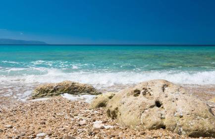 Tree of Life - Foto 39