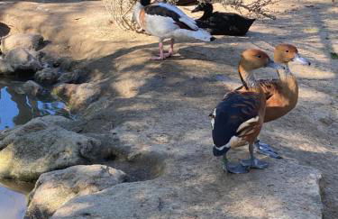 Quinta da Vinha do Souto - Foto 34