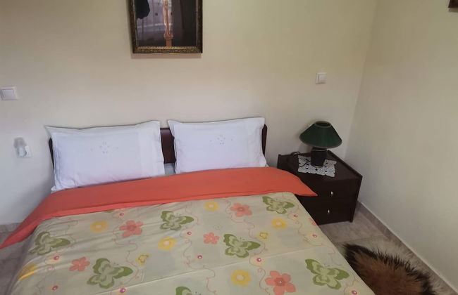 Zant House Trikala Town - Foto 4