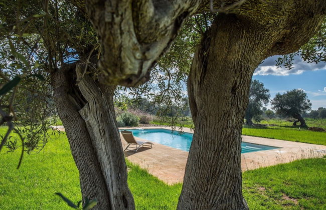 Azienda Agricola Spirdo - Foto 23