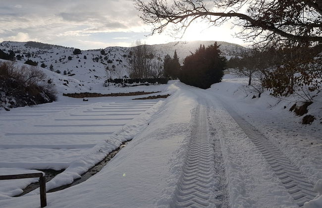 Casa rural El Salero en Moratalla - Foto 44