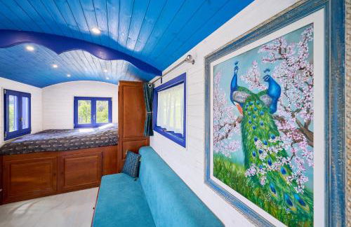 Poggio Diavolino - Suvereto - Foto 34