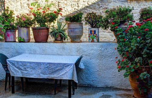 Villa Elborgini - Foto 40