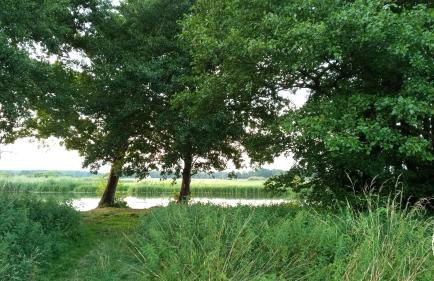 Ferienhaus Bea - Foto 26