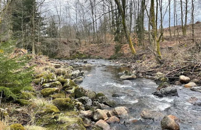 Ferienhaus in Schierke mit Garten - Foto 35